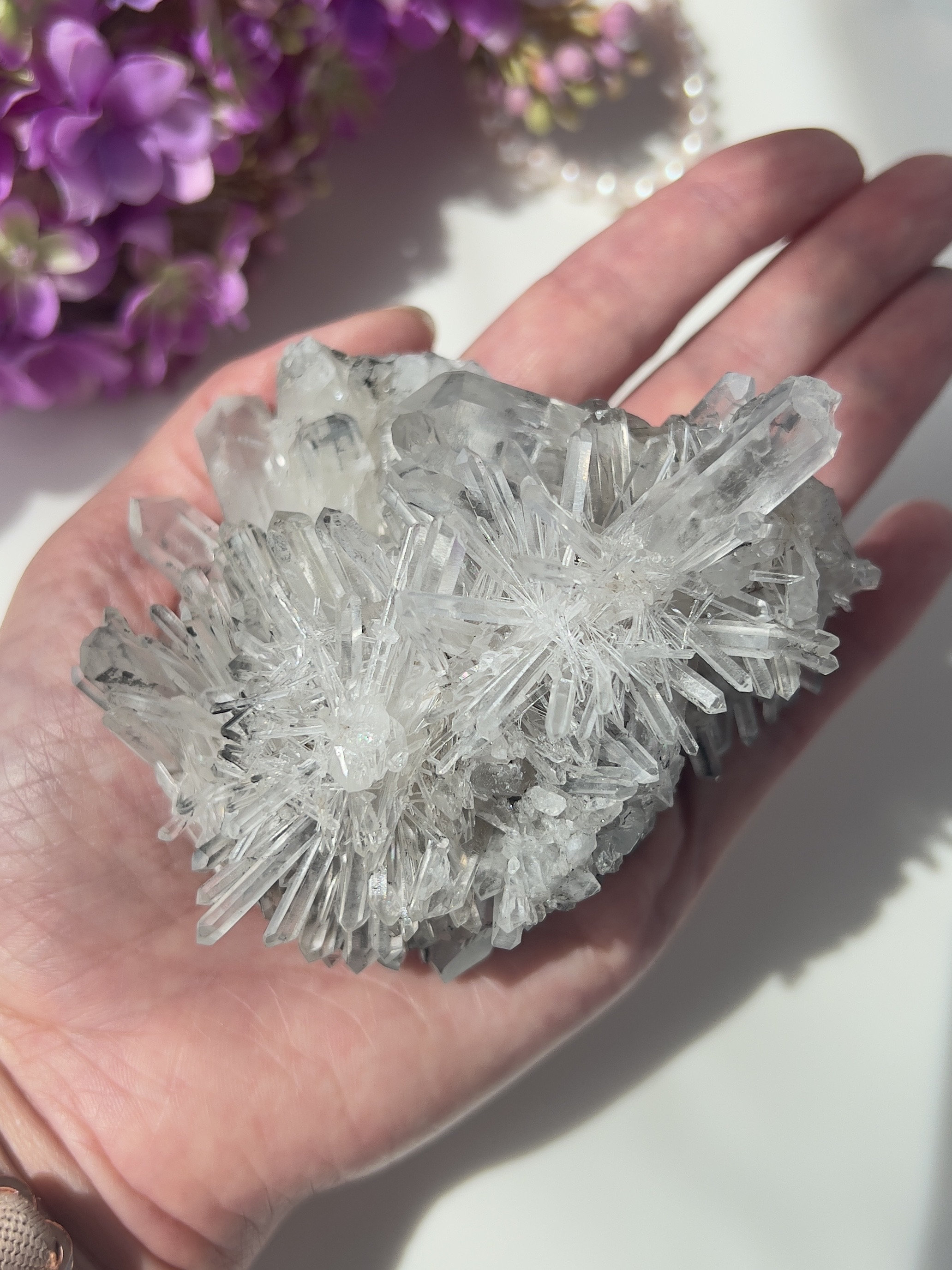 Rare Starburst Dow Chrysanthemum Lemurian Cluster from Colombia | Rare Collector’s Crystal | Chrysanthemum Quartz | Temple DOW Crystal