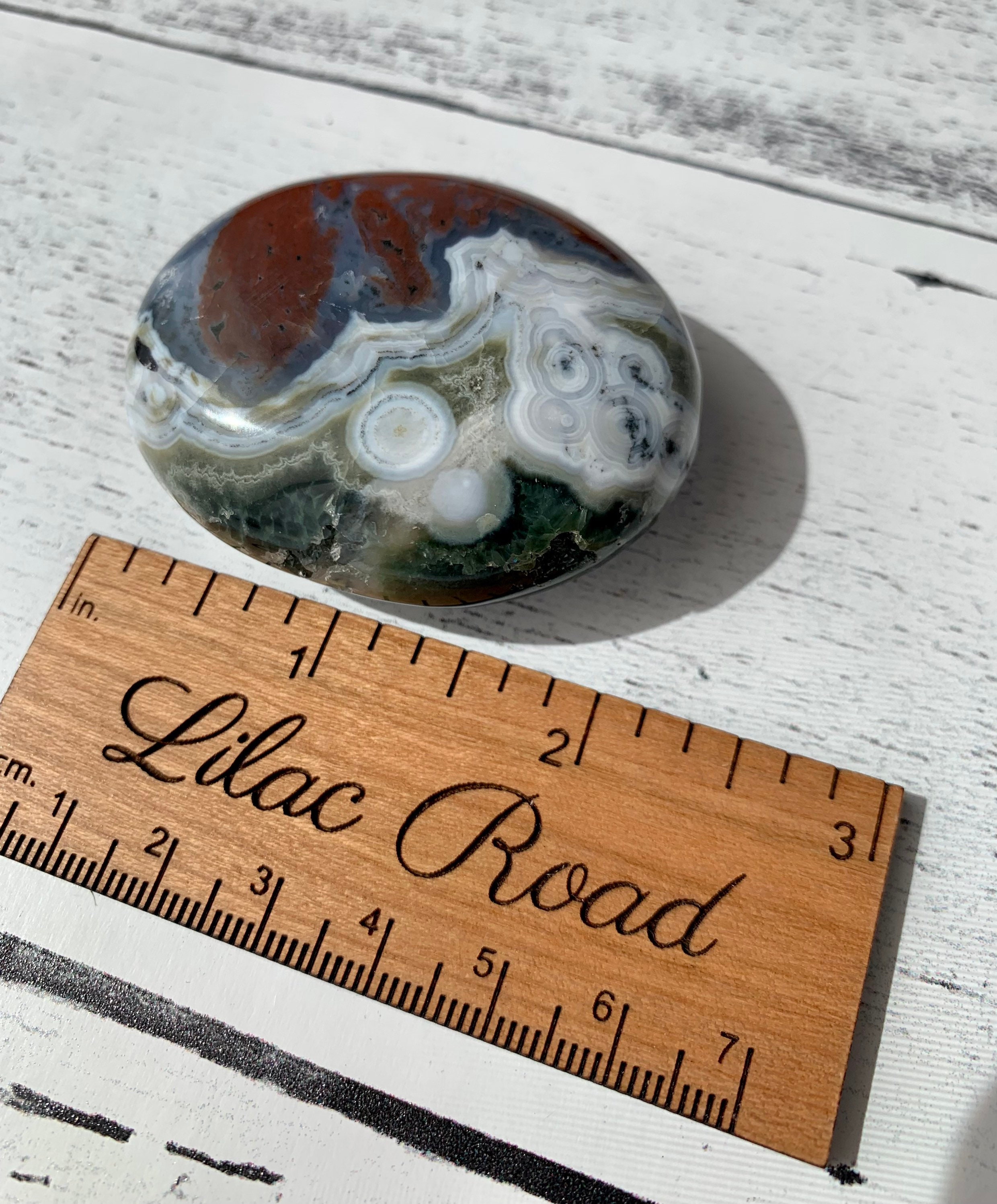 ジャスパーロッテルダムジャイールマッハ ジャスパーロッテルダムジャイールマッハ