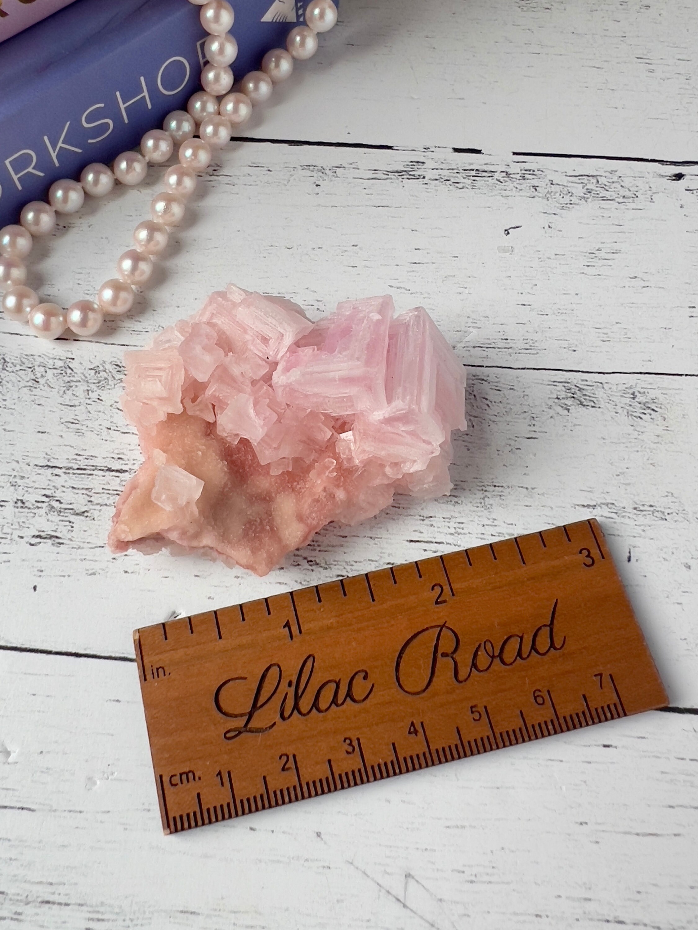 ピンク岩塩クラスター サールズ湖 カリフォルニア | 天然立方岩塩塩