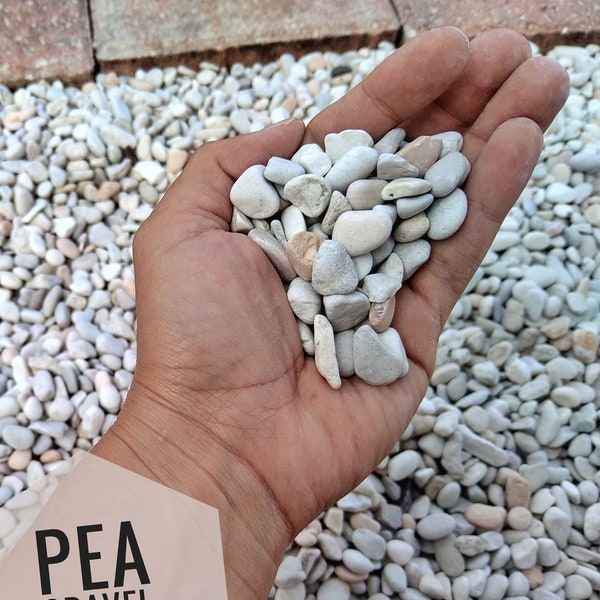 Polar White Beach Pebble Natural Stones and smooth Gravel for Terrarium/ Aquarium/ Garden, Premium Freshwater Substrate, PRE-WASHED