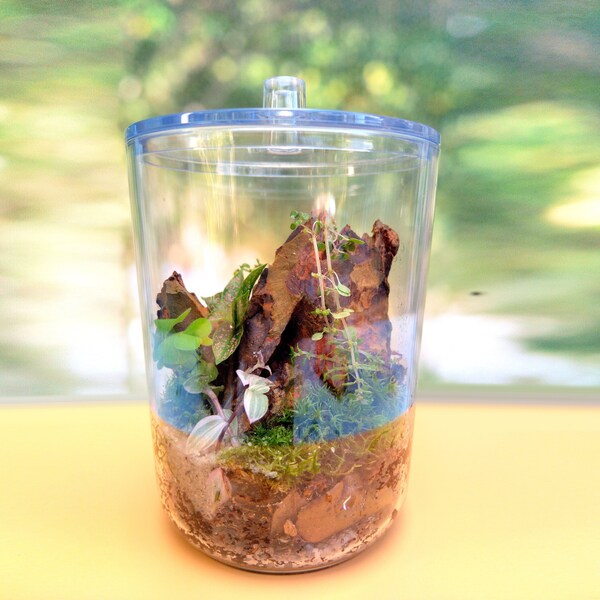 Terrarium Stand Etsy