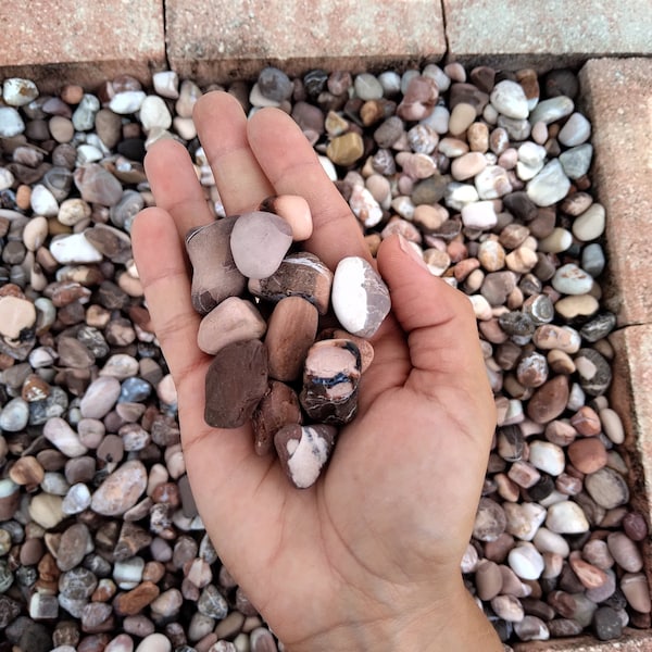 Malta Maroon Pebble Natural Stones and smooth Gravel for Terrarium/ Aquarium/ Garden, Premium Freshwater Substrate, PRE-WASHED