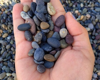 Mexican Beach Pebble Natural Stones and smooth Gravel for Terrarium/ Aquarium/ Garden, Premium Freshwater Substrate, PRE-WASHED