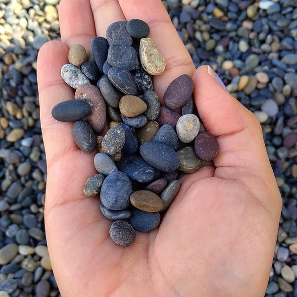 Mexican Beach Pebble Natural Stones and smooth Gravel for Terrarium/ Aquarium/ Garden, Premium Freshwater Substrate, PRE-WASHED