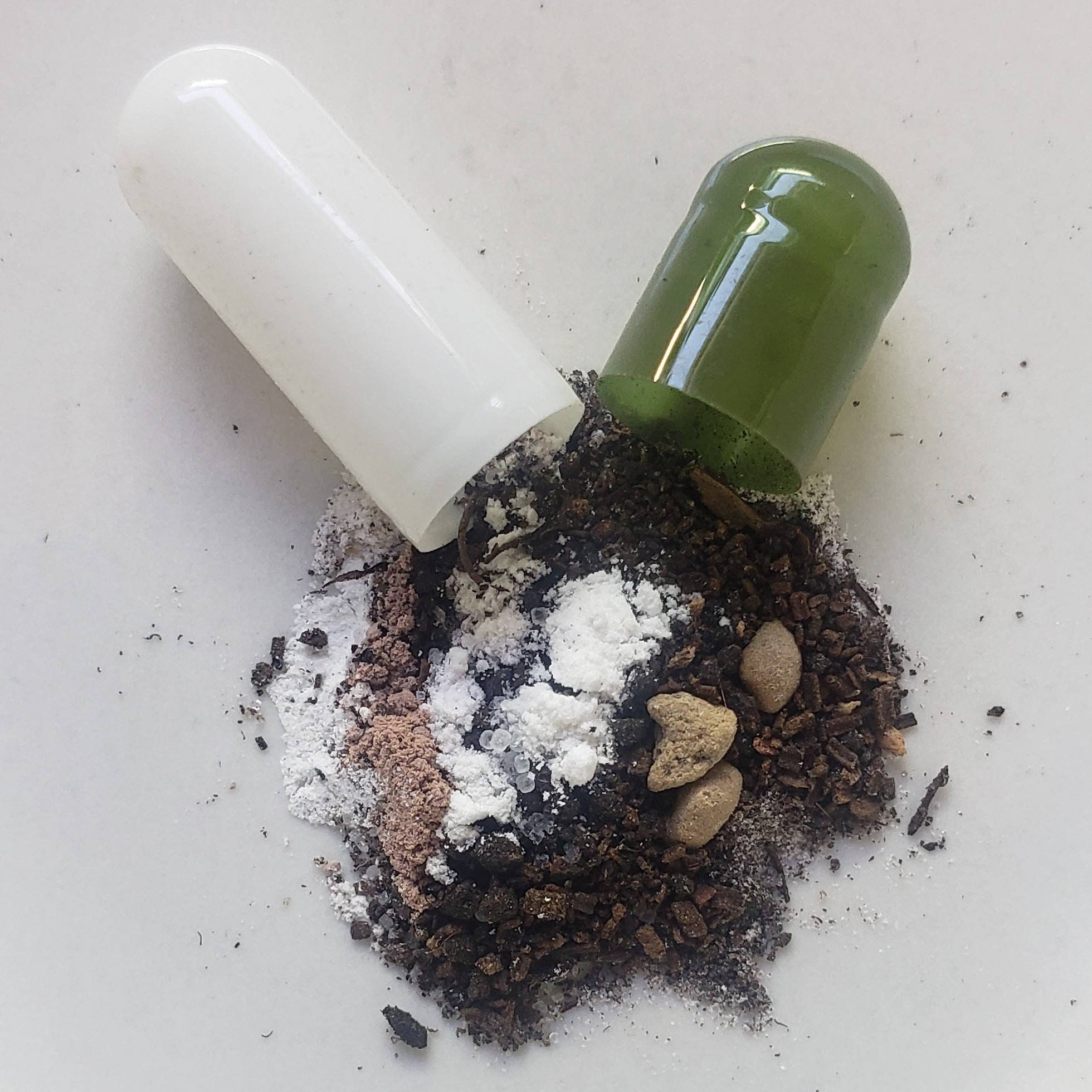 10 Aquarium Root Tabs for Aquarium Plants . FREE SHIPPING Etsy