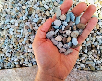 Indonesian Jade Beach Pebbles Natural Stones and smooth Gravel for Terrarium/ Aquarium/ Garden, Premium Freshwater Substrate