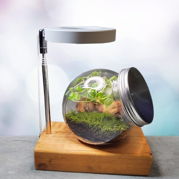 Terrarium Stand Etsy