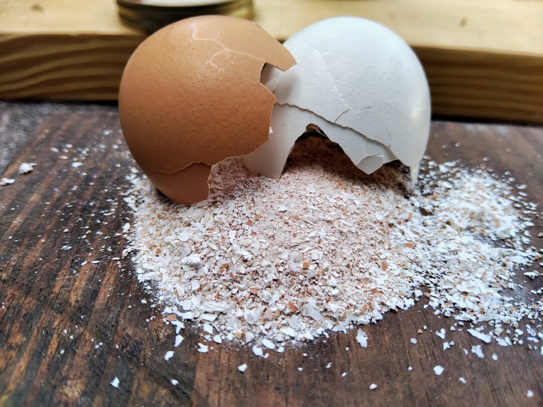 Calcium Supplement / Shrimp Calcium / Shrimp Food / Snail Calcium