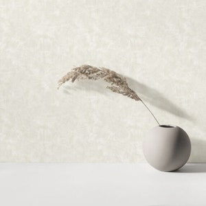 Contemporary Satin Ivory off White Faux Concrete Plaster Textured ...