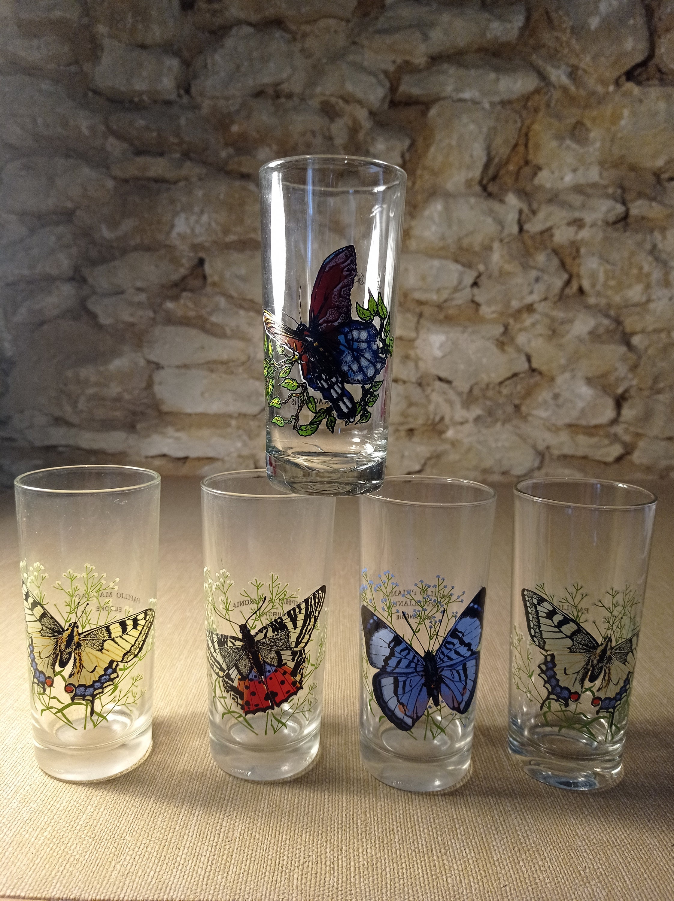 Verres Papillon Vintage Années 60