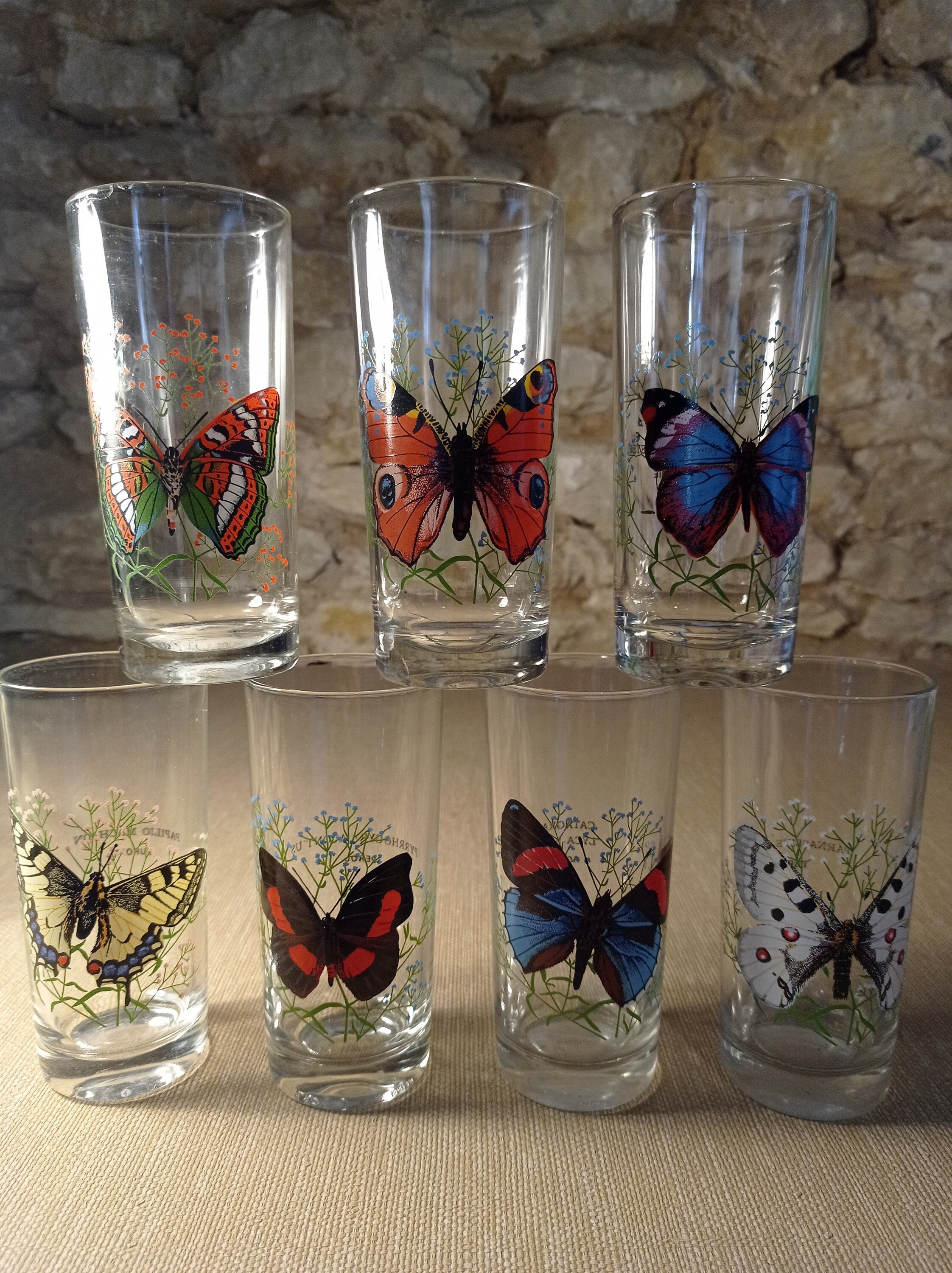 Verres Papillon Vintage 1960