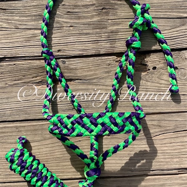 Large Pony / Yearling Halter & Lead - Made to Order