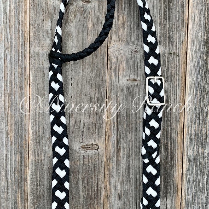 One Ear Silver Bridle