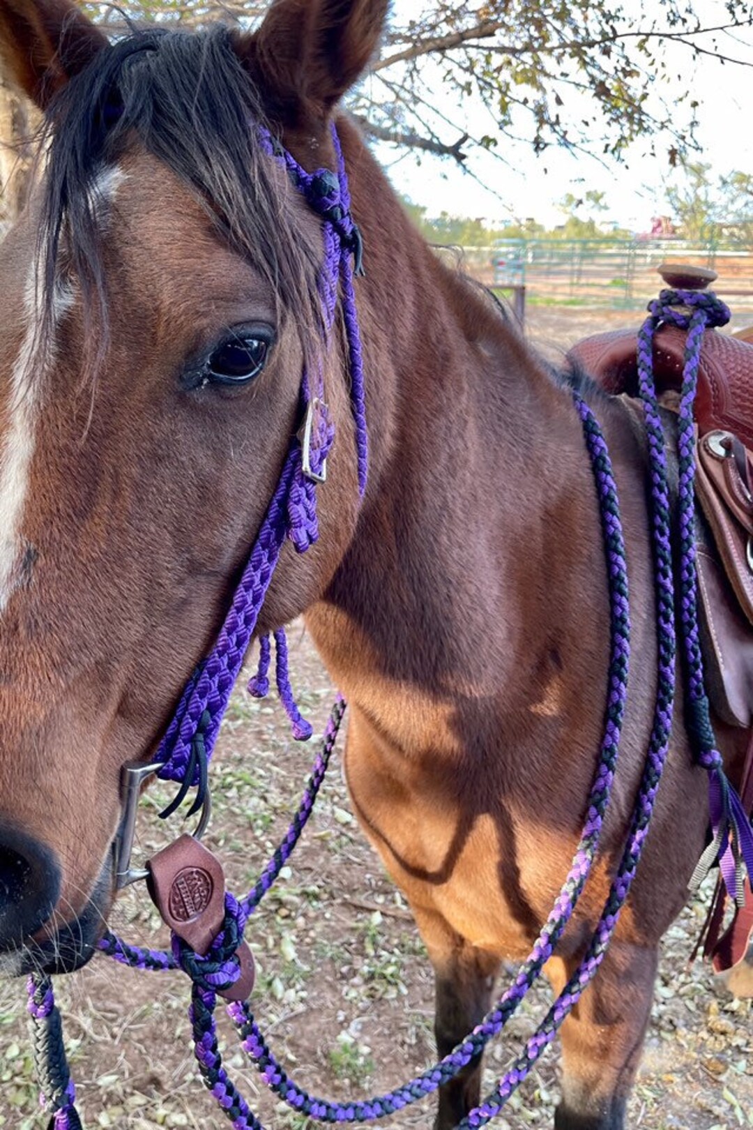 Mecate Rein / Get Down Rope Made to Order Etsy