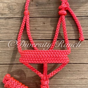 Chunky MT Halter & HEAVY DUTY Lead - Made to Order