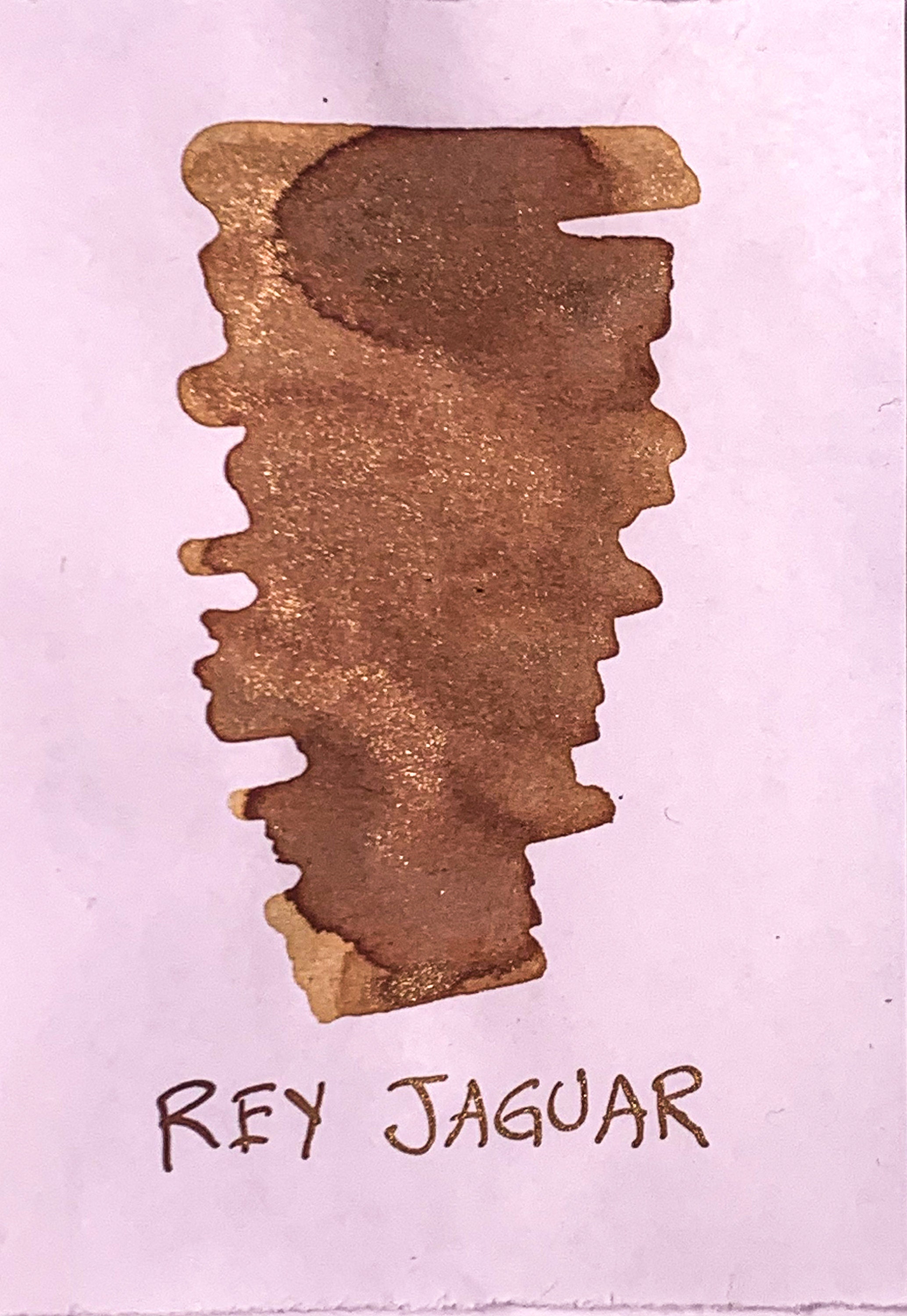 Rey Jaguar Fountain Pen Ink Etsy