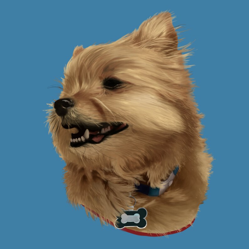 Digital Pet Portrait From Photo Etsy