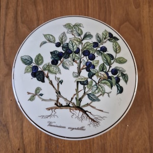 Villeroy & Boch Botanica Vaccinium Myrtillus, blåbär med morot, perfekt ask med lock
