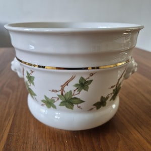 Könnte beinhalten: Weißer Keramik-Pflanztopf mit goldenem Band und dekorativen Griffen. Der Pflanztopf hat ein grünes und braunes Efeublatt-Design an der Außenseite. Der Pflanztopf hat einen abgerundeten Boden und eine breite Öffnung.