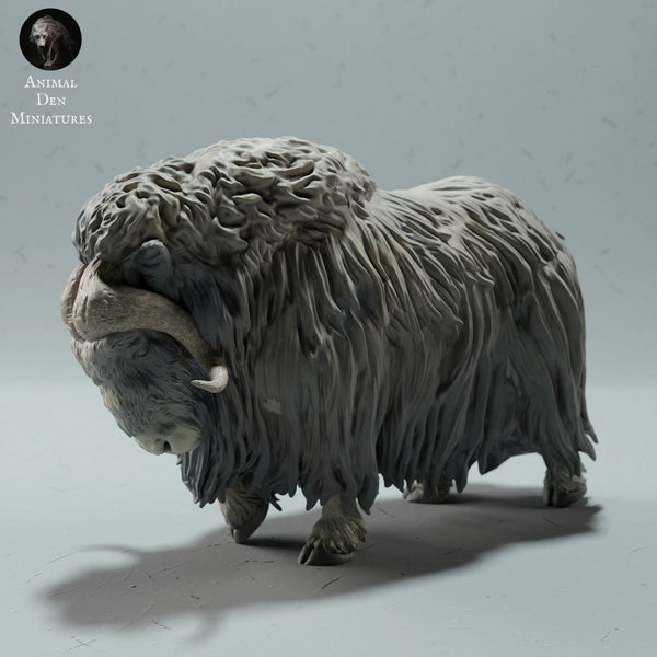 Musk Ox Sheep • Unpainted • Animal Den Miniatures • DnD • 3D Resin Printed • RPG • Pathfinder • Wild Shapes • Dungeons and Dragons