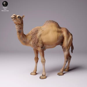 Dromedary Camel • Unpainted • Animal Den Miniatures • DnD • 3D Resin Printed • RPG • Pathfinder • Wild Shapes • Dungeons and Dragons
