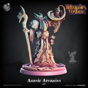 Aussir Arcaniss • Cast N Play • DnD • 3D Resin Printed • RPG • Pathfinder • Miniature • Tabletop • Dungeons and Dragons
