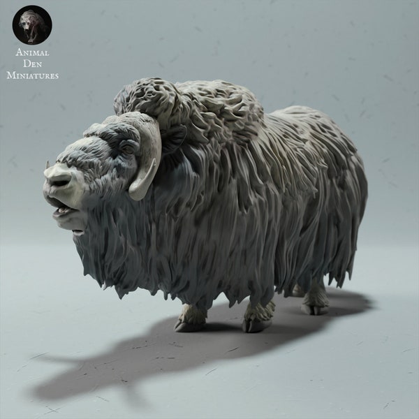 Musk Ox Ram • Unpainted • Animal Den Miniatures • DnD • 3D Resin Printed • RPG • Pathfinder • Wild Shapes • Dungeons and Dragons