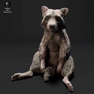 Common Raccoon Sit • Unpainted • Animal Den Miniatures • DnD • 3D Resin Printed • RPG • Pathfinder • Wild Shapes • Dungeons and Dragons