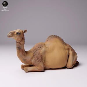 Dromedary Camel Lying • Unpainted • Animal Den Miniatures • DnD • 3D Resin Printed • RPG • Pathfinder • Wild Shapes • Dungeons and Dragons