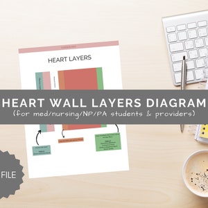 Cardiology- Heart Wall Layers, Anatomy, Cheat Sheet, Medical Student Notes, PA Student Notes, Nursing Notes, Study Guide, Reference, Diagram