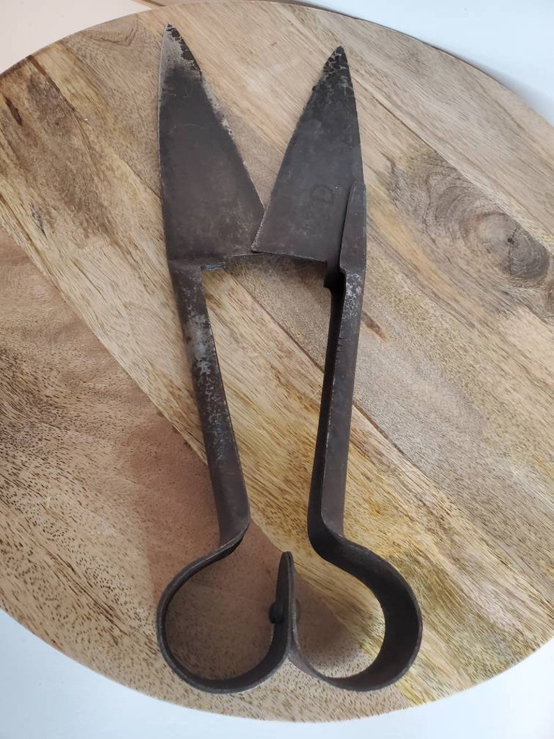 Vintage Sheep Shears Made in England Rustic Decor Burgon & Ball Etsy