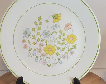 Corelle Meadow Seperates
