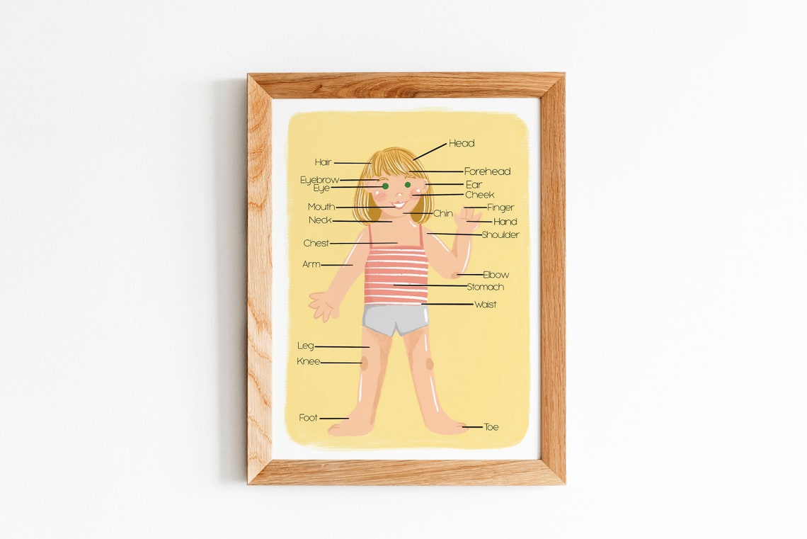 Printable Body Parts Poster for Kids My Body Educational Etsy