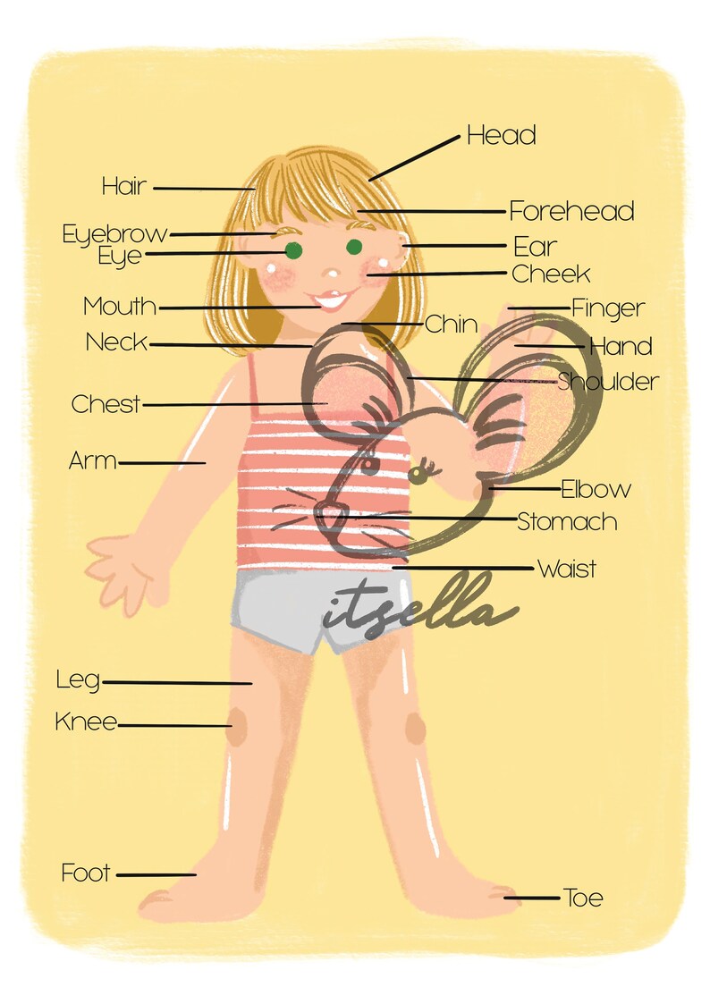 Printable Body Parts Poster for Kids My Body Educational Etsy