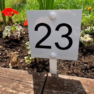 Könnte beinhalten: Ein weißes quadratisches Schild mit der schwarzen Nummer 23 auf einem Gartenbeet mit grünem Gras und roten Blumen.