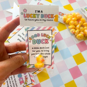 May include: A clear plastic bag containing a small yellow rubber duck with a sign that reads "GOOD LUCK DUCK". The sign also says "A little duck just for you, to bring you luck, the whole yeugh!" and "I'M A LUCKY DUCK to have you in my class".