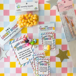 May include: An assortment of duck-themed items, including novelty acrylic duck beads, treat bags with pretzels, and cards with the text "Good Luck Duck" and "I'm a Lucky Duck". The background is a colorful checkered pattern.