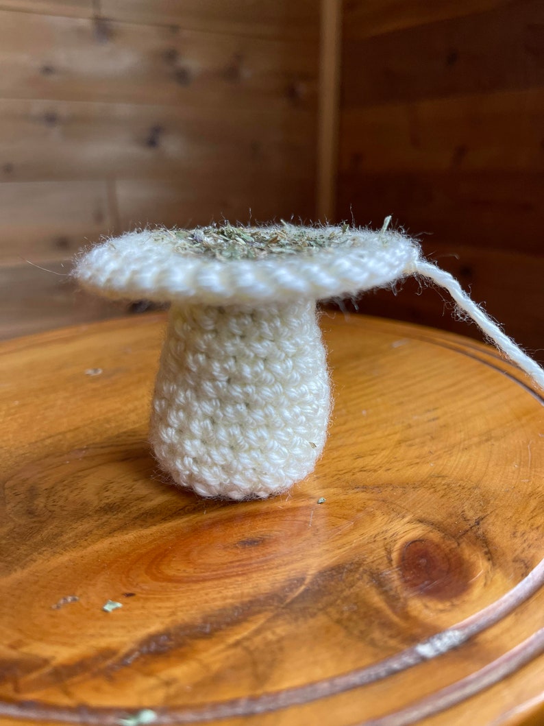 Amigurumi mushroom cat toy PDF crochet pattern English image 4