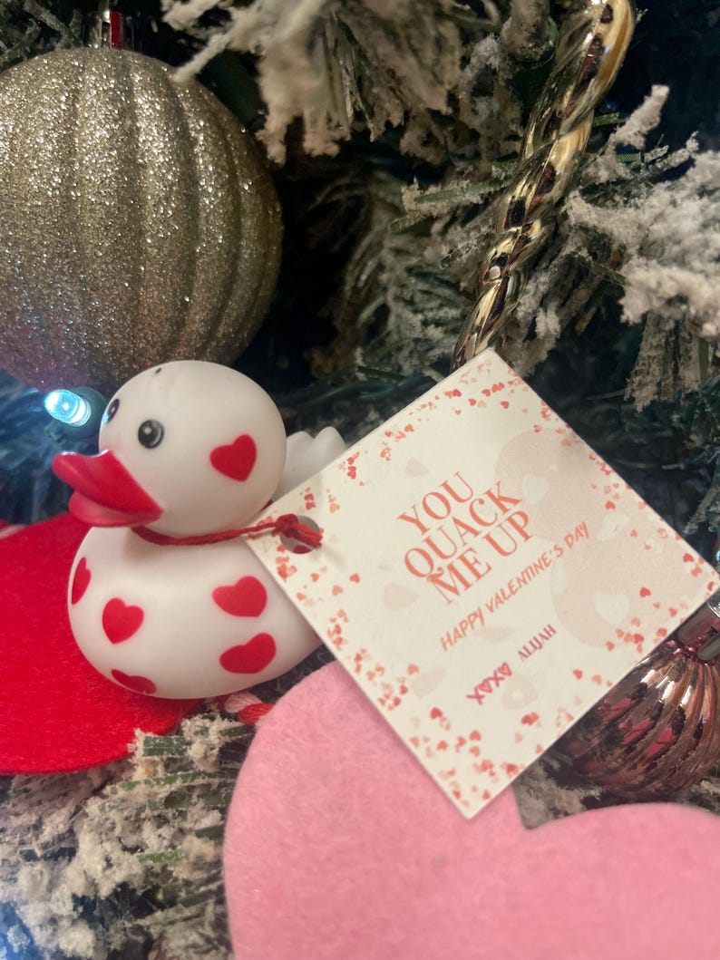 May include: A white rubber duck with red hearts on it, hanging from a white card with the text "You Quack Me Up Happy Valentine's Day xoxo Aliyah".