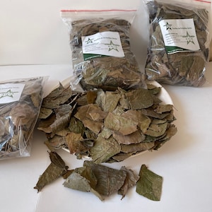 Kinkeliba leaves ,combretum micranthum,sekhaw,doute .100 Grams 3.5  Oz