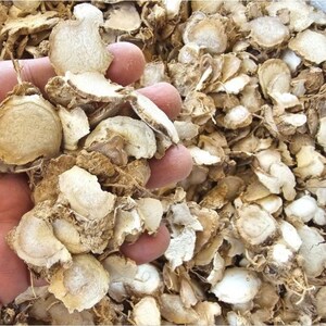 Wholesale 10lbs White Turmeric, Curcuma zedoaria, Zedoary Root Slice, Shipped in 10 days