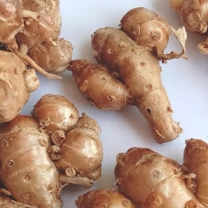 Kaempferia Galanga, Aromatic Ginger, Non GMO, US Seller