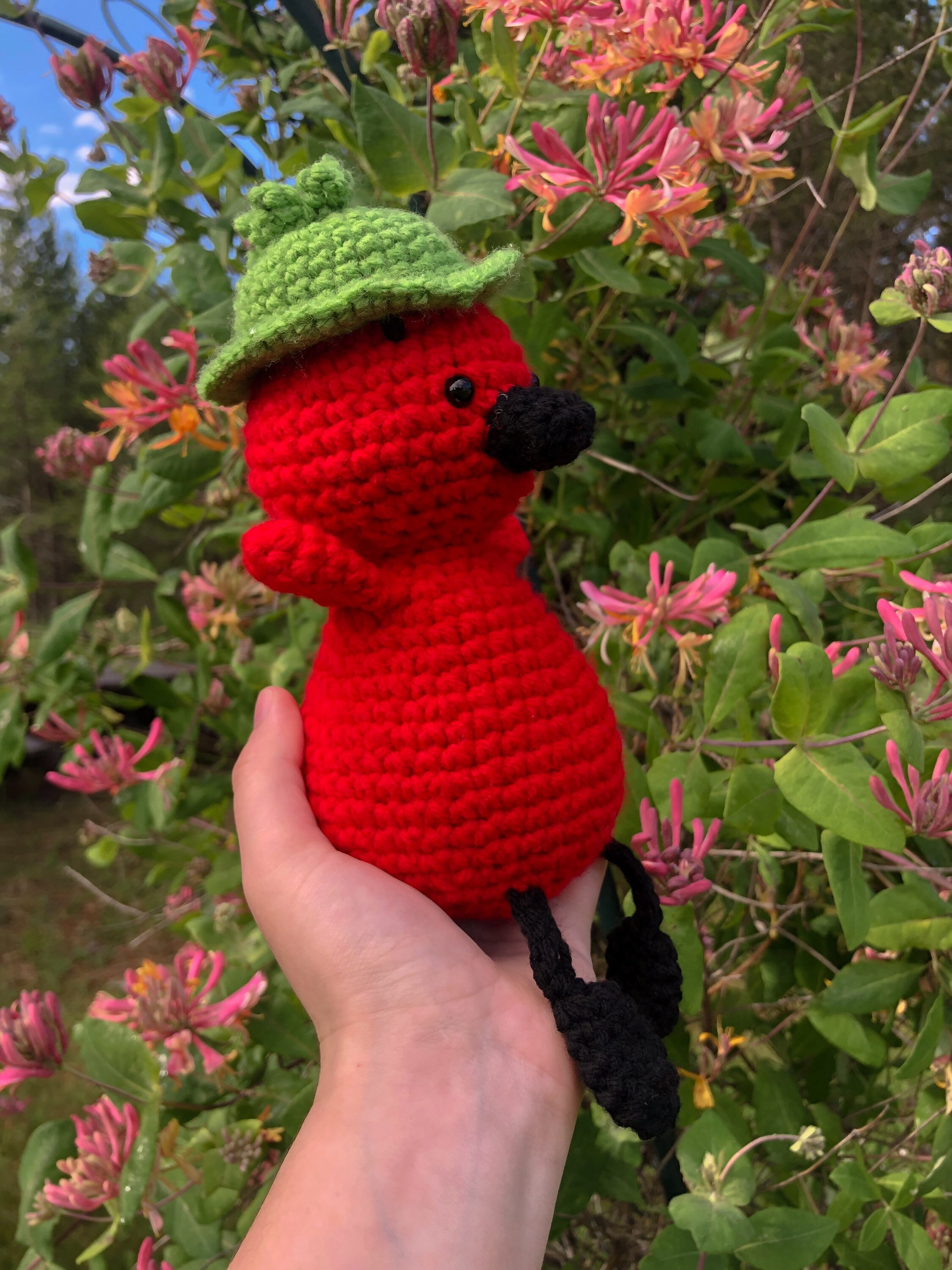 Crocheted Strawberry Duck Plush With Green Stem Hat Cute Duck Etsy