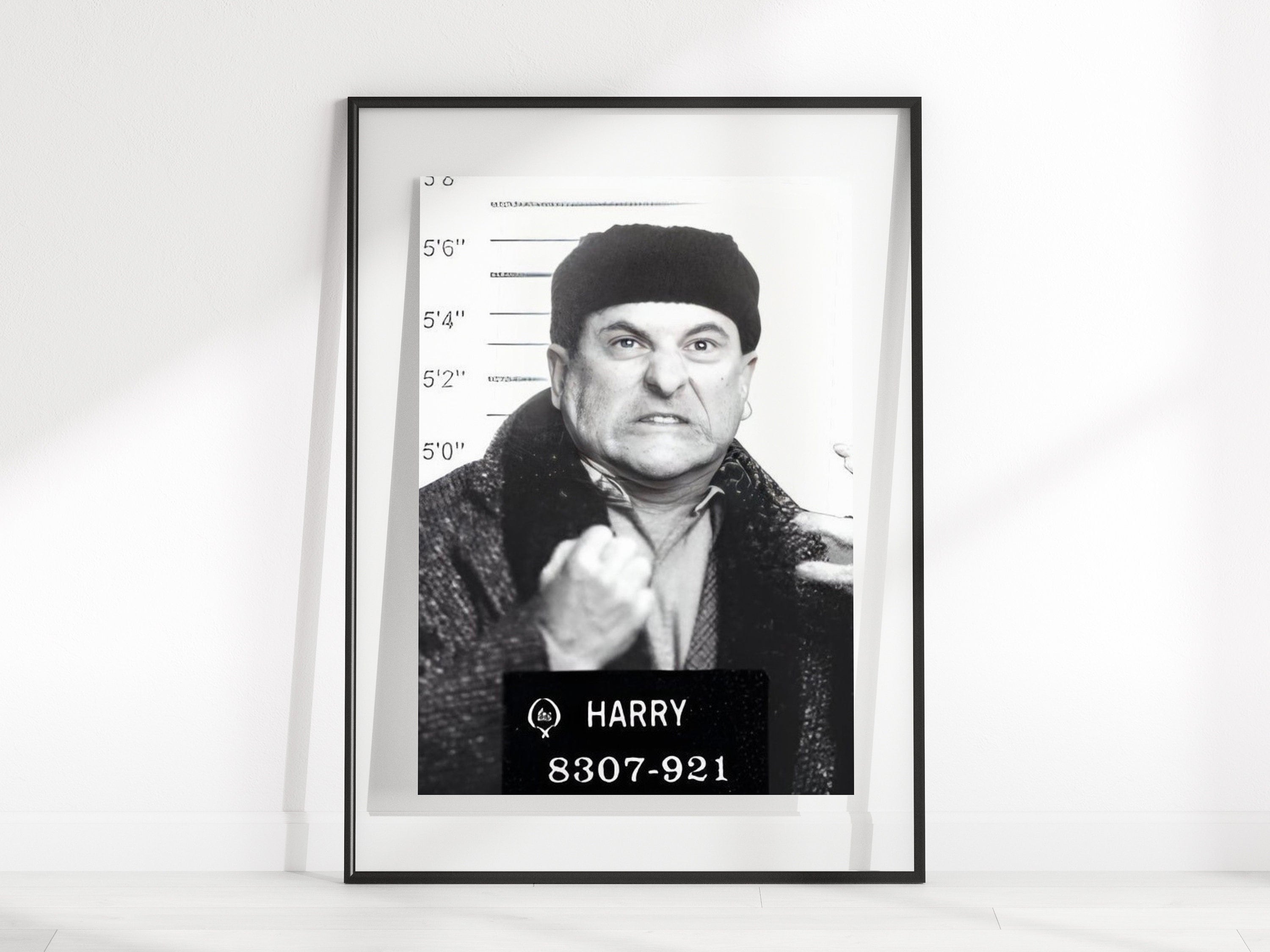 Harry And Marv Home Alone - xrqd11n