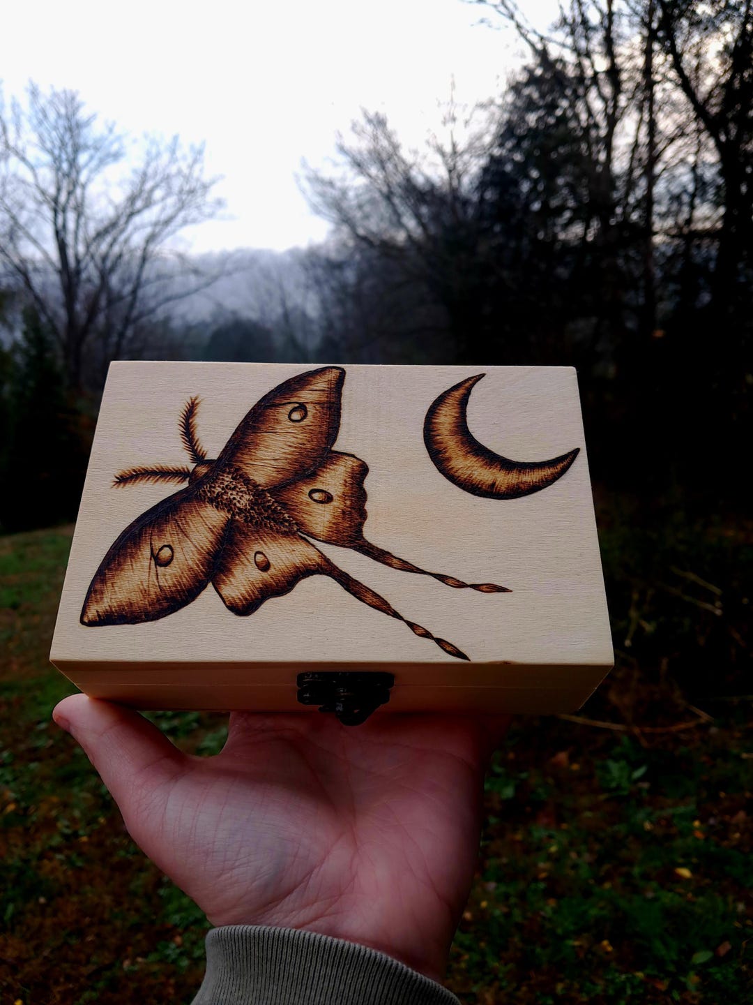 Wood Burned Luna Moth Wooden Trinket Box - Etsy