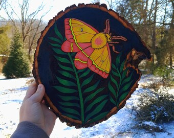 Original Woodburning and Painting Wood Slice Rosy Maple Moth