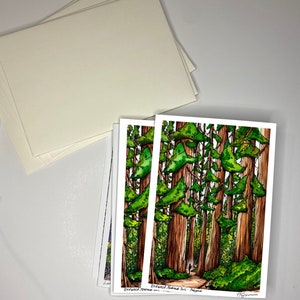Parco nazionale di Redwood, California 5x7 Biglietto d'auguri con busta