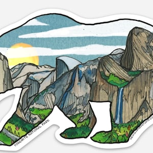 Yosemite  Bear