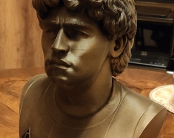 MARADONA - Diego Armando - Fan Art - 3D Printed - 20 cm or height of your choice
