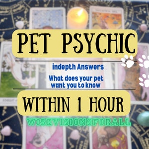Pet psychic reading + Fast Cat Reading + 1 hour Dog Psychic Reading + in depth pet psychic reading